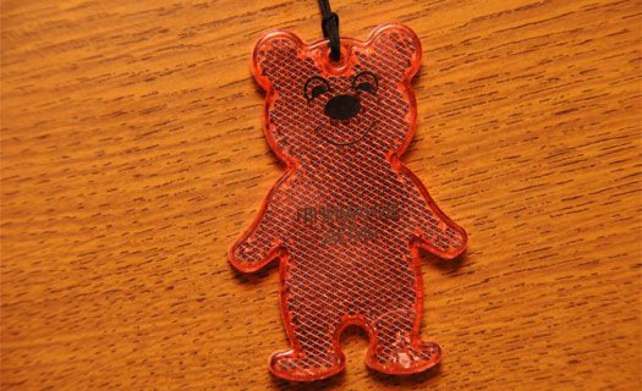 Воронежская Госавтоинспекция переняла опыт защиты детей от ДТП у Швейцарии