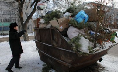 В Воронеже новогодние ёлки отправляют на свалку вместе с остальным мусором