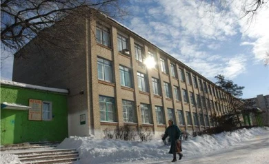 В воронежской школе не проводят уроки из-за заболевших гриппом учеников