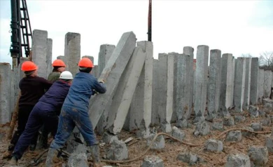 В Воронежской области количество мигрантов выросло на 17%