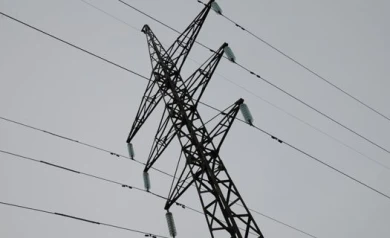 На директора садового товарищества завели дело за отключение электричества в дачном посёлке