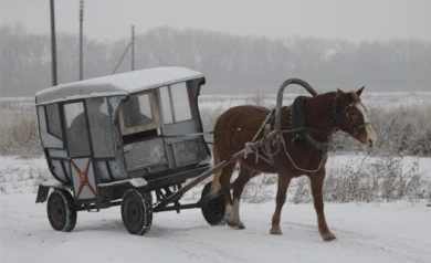 Воронежцы считают, что в сёлах люди добрее