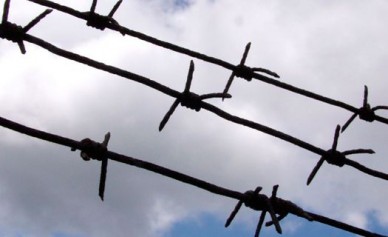 Воронежские депутаты предложили увеличить срок пребывания в СИЗО до 15 суток