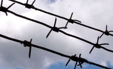 Воронежские депутаты предложили увеличить срок пребывания в СИЗО до 15 суток