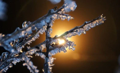 Синоптики: в Воронеже похолодает до -12 градусов Цельсия