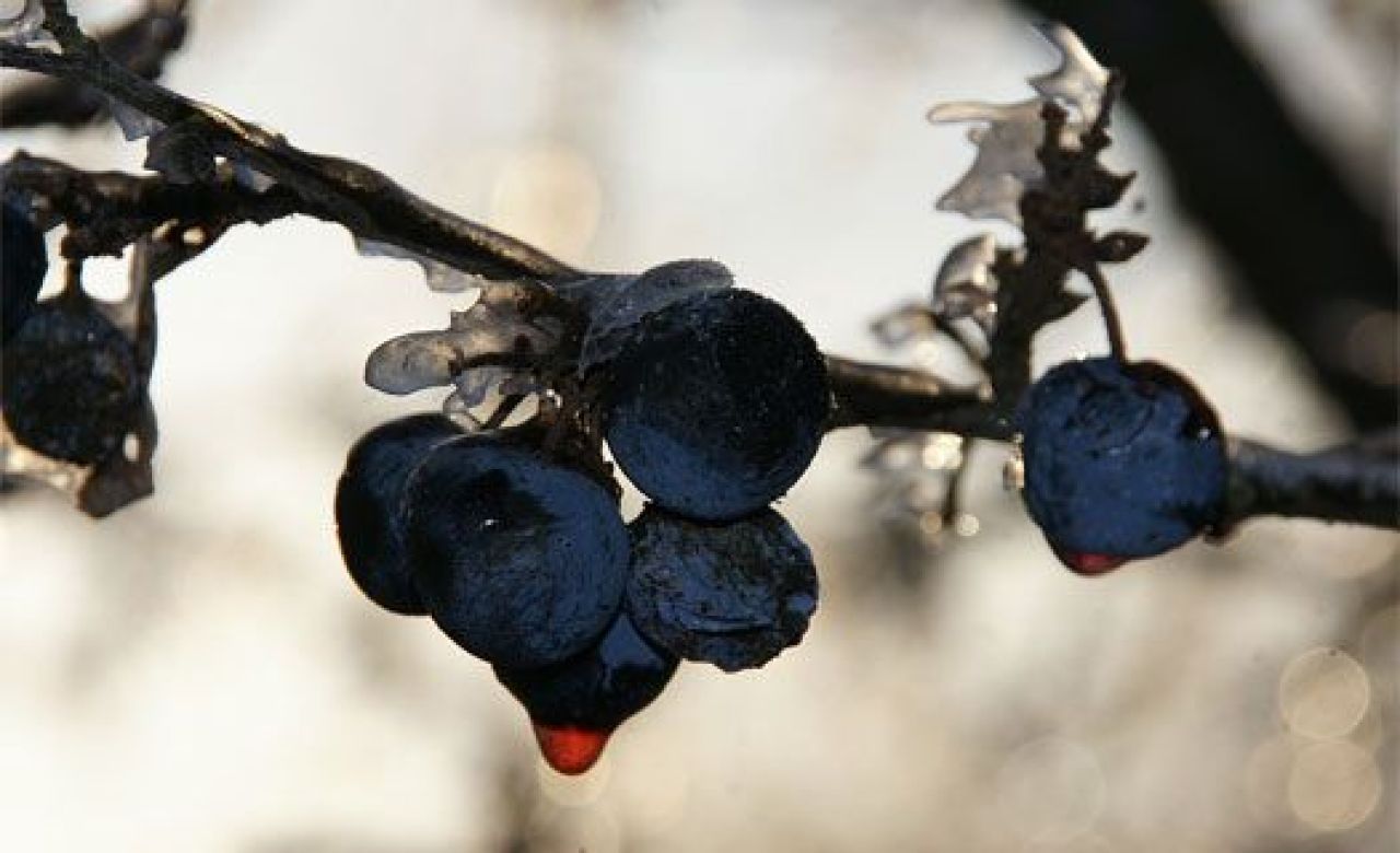 Завтра в Воронеже ожидается потепление