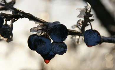 Завтра в Воронеже ожидается потепление