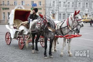 Воронежцы рассказали «МОЁ!», у кого и за что они попросили бы прощения