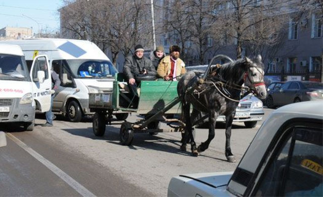 В Воронеже собираются открыть пассажирский гужевой маршрут