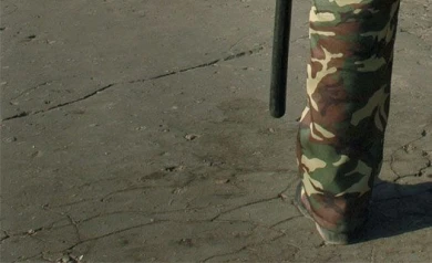 Воронежские зеки сидели в интернете благодаря инспектору-взяточнику