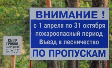 В лесах Воронежской области обустроят 170 площадок для отдыха