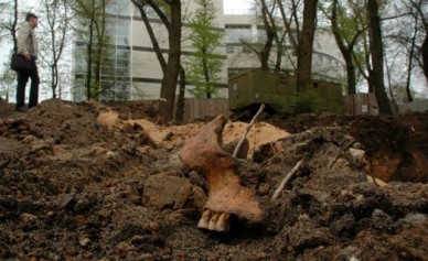 В селе под Воронежем нашли обезглавленное тело охранника