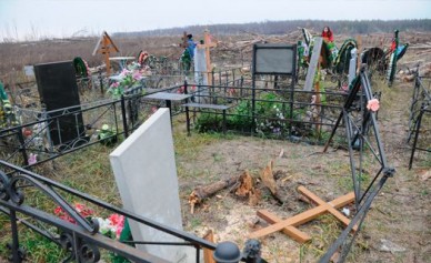 В Воронежской области вандалы разгромили сельское кладбище