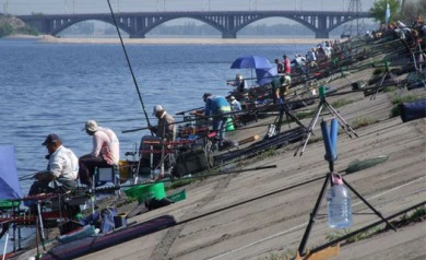 Из Воронежского водохранилища за два дня выловили 350 кило рыбы