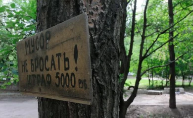 Воронежцев призывают выйти на уборку леса