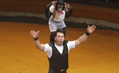 Дан Запашный: «Между «наказывать» и «издеваться» большая разница!»