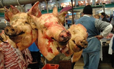 Из-за африканской чумы могут подскочить цены на свинину