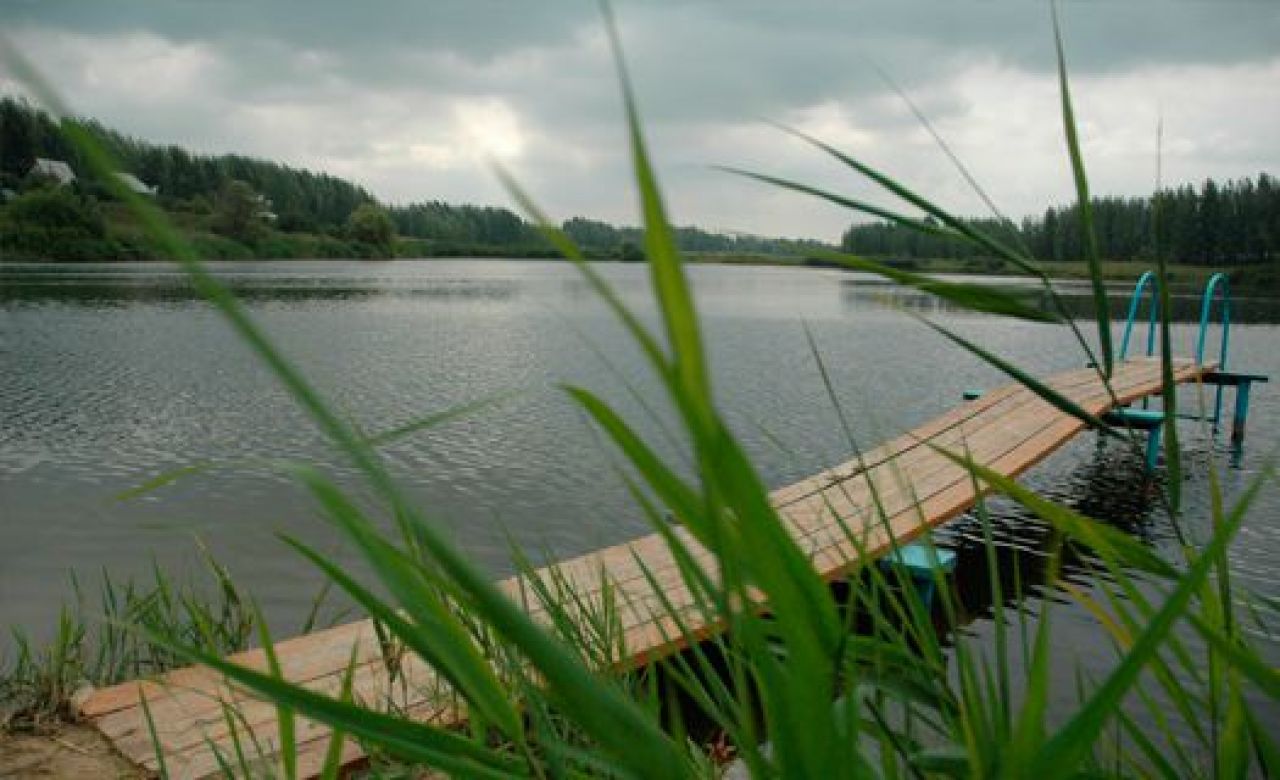 Под Воронежем на берегу частного пруда произошло убийство