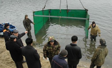 Воронежского пенсионера, собравшего с дольщиков 15 млн рублей за дом у озера, бу...