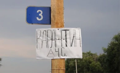 В карантинную зону по африканской чуме свиней попали 11 районов Воронежской области