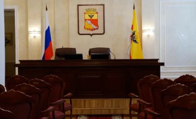 В Воронежской области чиновников за добросовестную службу будут награждать почетным знаком