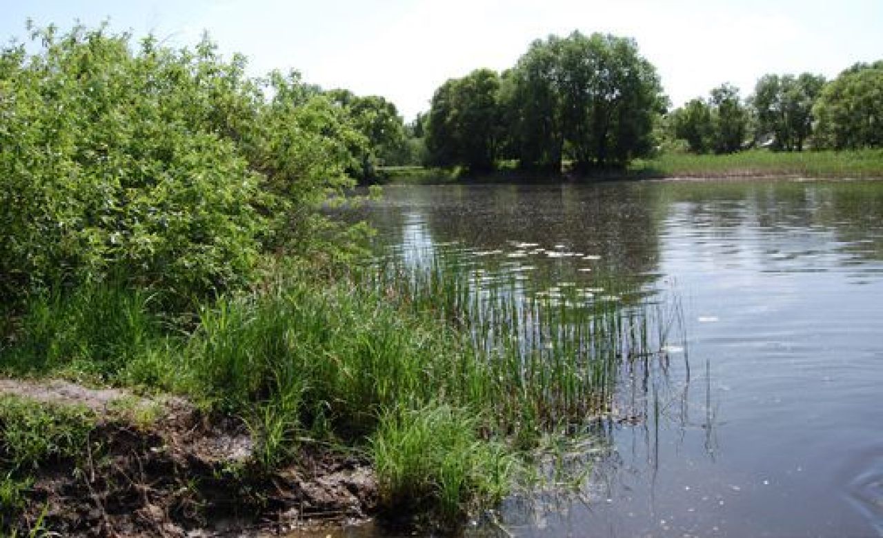 В Воронежской области водолазы два дня искали в реке тело утонувшего парня