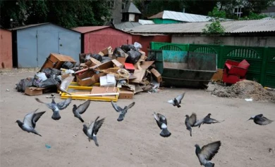 «МОЁ!» объявляет фотоконкурс «Живописная свалка-2013»