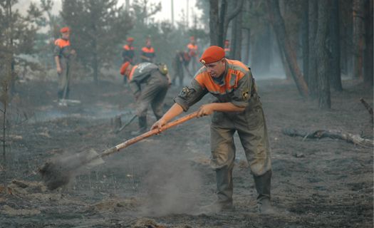 Лесные пожары 2010 года