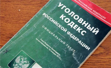 Воронежского чемпиона по греко-римской борьбе будут судить за убийство