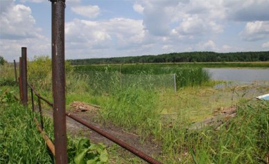 Воронежцев просят жаловаться на самозахват рек и прудов в прокуратуру