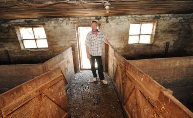 Власти уговаривают воронежских фермеров отказаться от разведения свиней