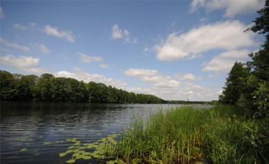 Воронежцев просят не отдыхать на реке в Чертовицах: можно отравиться газом