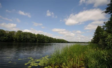 Воронежцев просят не отдыхать на реке в Чертовицах: можно отравиться газом