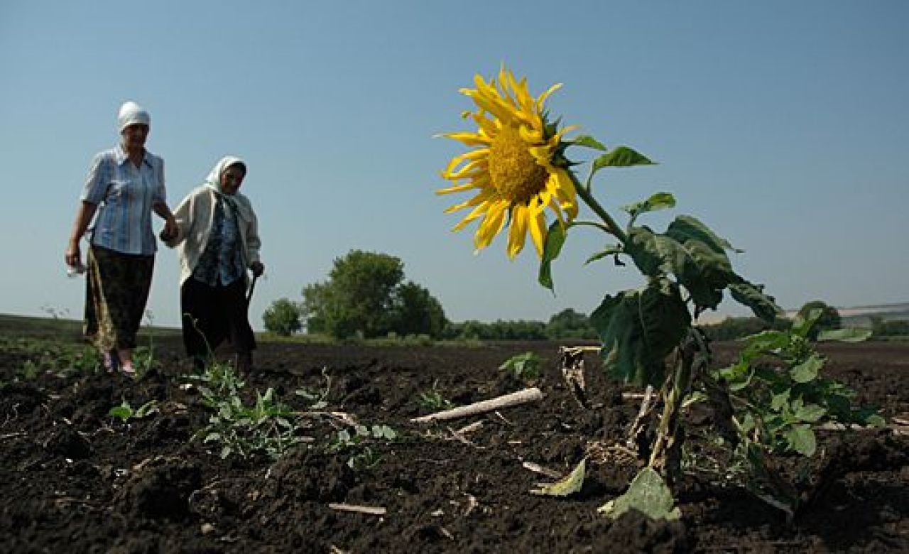 фото из архива "МОЁ!"