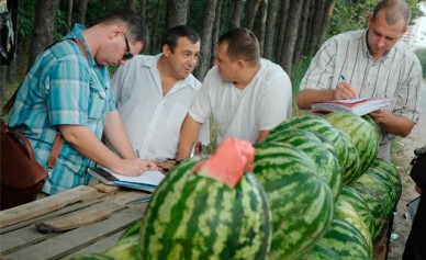 Работу воронежских рынков проверит Следственный Комитет