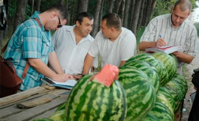 Работу воронежских рынков проверит Следственный Комитет