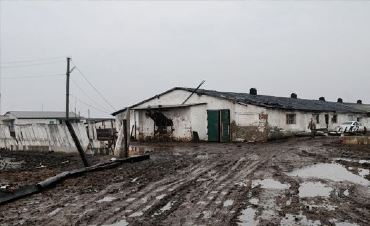 Ферма в селе Парусное, где процветал рабский труд.Фото из архива "МОЁ!".