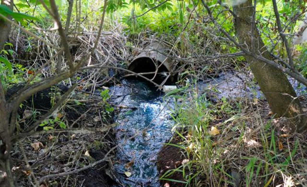 Фото из архива "МОЁ!".