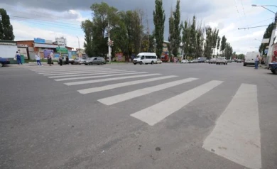 Двух школьниц забрали в полицию за то, что они прошли рядом с зеброй