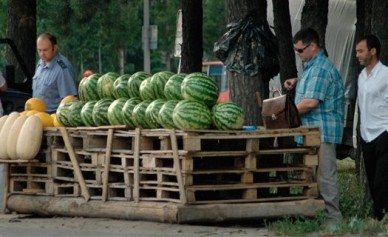 Полицейские ищут нелегальных мигрантов на рынках Воронежа