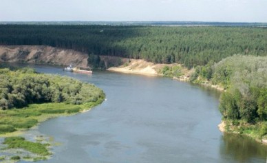 Двух рыбаков оштрафовали на 100 000 рублей за ловлю карасей в Дону