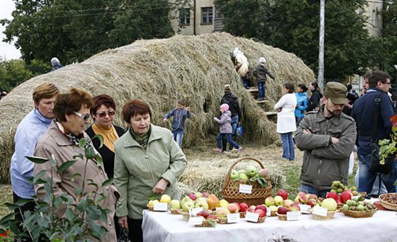 кабачок из сена на Советской площади