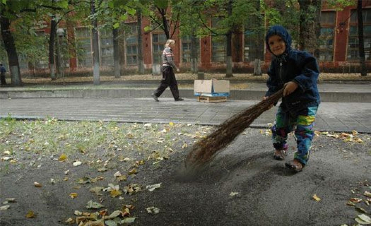 Воронежцы очистят от мусора дамбу у Чернавского моста и превратят ее в парк