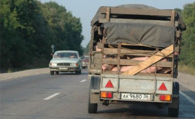 Через Воронежскую область по трассе М4 «Дон» не пропускают фуры с домашним ското...