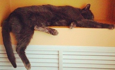 Мэрия: к утру 7 октября отопление дали в 99,2 процента воронежских домов