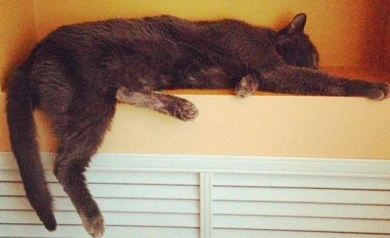 Мэрия: к утру 7 октября отопление дали в 99,2 процента воронежских домов