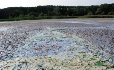 Под Воронежем начали расчищать русло реки Тавровки