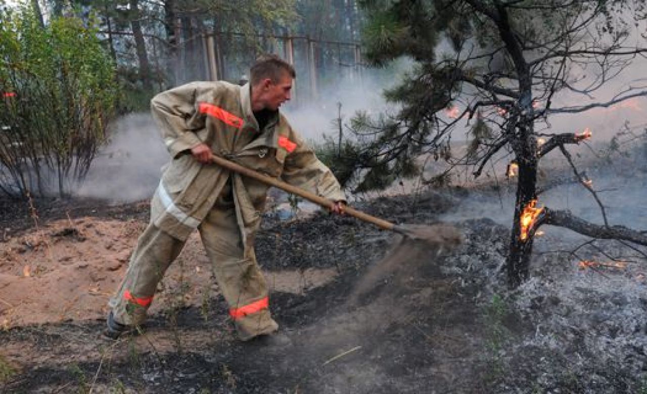 Ещё 3 года понадобится, чтобы засадить новыми деревьями выгоревший в 2010 году лес