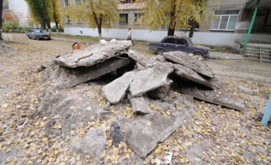 На улице Иркутской коммунальщики пригрели стаю бродячих собак