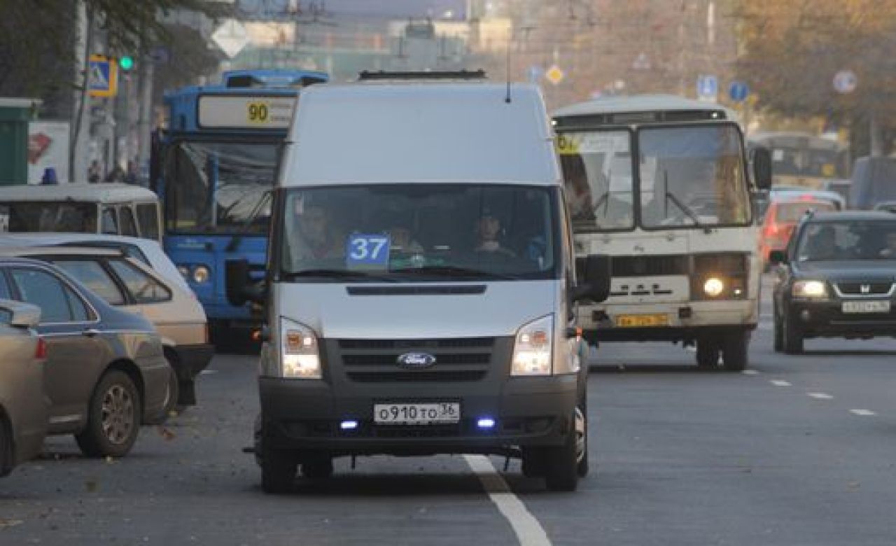 В Воронежской области увеличили штрафы для нелегальных перевозчиков